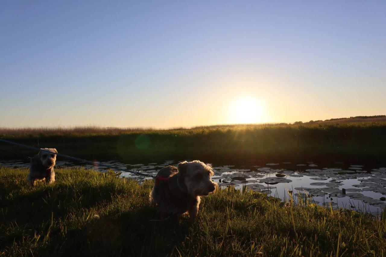 Agroturystyka Gardna Wielka Buitenkant foto
